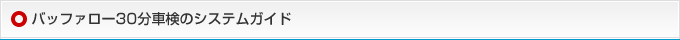 バッファロー30分車検のシステムガイド