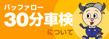 バッファロー 30分車検 について