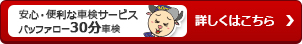 安心・便利な車検サービスバッファロー30分車検
